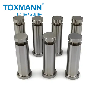 Op maat gemaakte punch HSS stempels die delen M2 punch DIN9861 D standaard punch